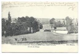 Carte Postale - COURT SAINT ETIENNE - Château De M. Le Comte Goblet D'Alviella - Un Coin Des étangs - CPA  // - Court-Saint-Etienne