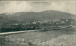 42 PELUSSIN / Vue Générale Et Le Mont Pilat / - Pelussin