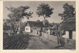 6005- ZITTAU- COUNTRYSIDE LANDSCAPE, VILLAGE STREET, POSTCARD - Zittau