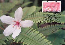 TAIWAN (2009) - Carte Maximum Card - ATM - Tung Blossoms / Flower - 92 - Cartoline Maximum