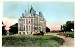 CPM  BRULON   Le Chateau De Vert - Brulon