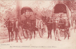 Attelage De Mules Et D'Anes Dans Les Landes - Transport De Tonneaux - Other & Unclassified