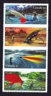 2005  Fishing Flies  Sc 2088  -  BK 306 - Heftchenblätter
