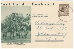 RSA - South Africa - Sud Africa - 1958 - Post Card - Intero Postale - Entier Postal - Postal Stationery - Kruger Nati... - Briefe U. Dokumente