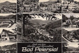 6980- POSTCARD, BAD PETERSTAL- SPA TOWN- BATHS, SANATORIUM, PARK, PANORAMAS - Bad Peterstal-Griesbach