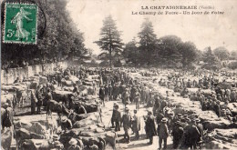 La Chataigneraie : Le Champ De Foire, Un Jour De Foire - La Chataigneraie