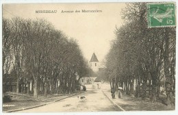 Mirebeau (21) Avenue Des Marronniers - Mirebeau