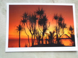 Australia -  Pandanus Palmen  Am Strand Bei  DARWIN - NT  -   German  Postcard    D121089 - Darwin