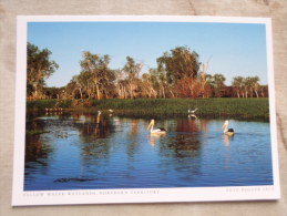 Australia  Yellow Waters Wetlands   Im Kakadu N.P.  - Northern Territory  -  German  Postcard    D121178 - Kakadu
