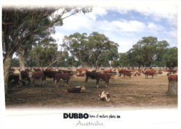 (449) Australia - NSW - Dubbo - Dubbo