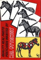 ZEBRE  -   ILLUSTRATION DE E. QUENTIN  -  1987 - Quentin