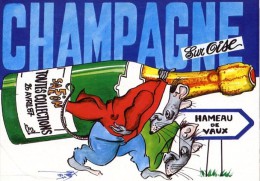 5° SALON CHAMPAGNE SUR OISE  -   ILLUSTRATION DE E. QUENTIN  -  1987 - Quentin