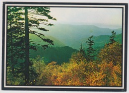 Appalachian Mountains-fall Color Scene-unused,perfect Shape - Altri & Non Classificati