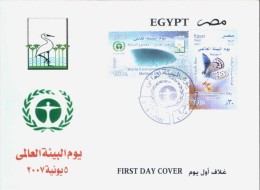 EGYPT 2007 FDC / FIRST DAY COVER World Environment Day ( Climate Change & Sinai Baton Blue ) - Cartas & Documentos