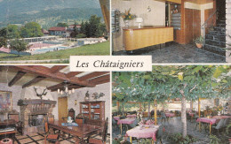 HOTEL "LES CHATAIGNIERS"  SAINT JORIOZ (DIL93) - Sonstige & Ohne Zuordnung