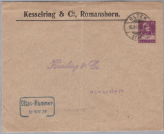 Heimat CH SO OLTEN HAMMER1920-11-10 Bahnstationstempel  Auf GS Aus Romanshorn - Ferrocarril