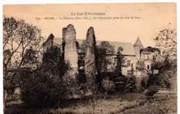 CP, 46, ASSIER, Le Château, Vue D'ensemble Prise Du Côté Du Parc, Voyagé - Assier