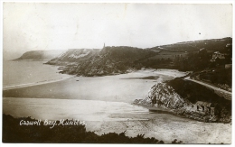 MUMBLES : CASWELL BAY / POSTMARK - SWANSEA / ADDRESS - WELLINGTON, HOLCOMBE ROGUS, POST OFFICE - Glamorgan