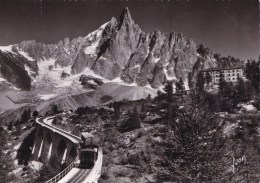 CHAMONIX L'AIGUILLE DU DRU ET L'HOTEL DE MONTENVERS(dil15) - Structures