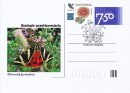 Czech Rep. / Postal Stat. (Pre2006/07cp) Czech Butterfiles: Euplagia Quadripunctaria - Comm. Postmarks (2011 - Praha 1) - Lettres & Documents