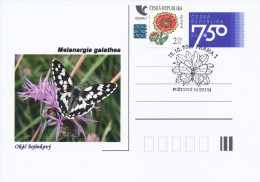 Czech Rep. / Postal Stat. (Pre2006/06cp) Czech Butterfiles: Melanargia Galathea - Commemorative Postmarks (2011 Praha 1) - Ansichtskarten