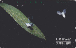 Télécarte JAPON / 290-52818 - ANIMAL - Insecte - LIBELLULE - DRAGONFLY JAPAN Free Phonecard - LIBELLE Insekt TK - 161 - Autres & Non Classés