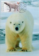 NORWAY / NORVEGE (2014) - Carte Maximum Card - ATM - Ours Polaire / Polar Bear - Nordens Dag Lillestrom Nordia - Timbres De Distributeurs [ATM]