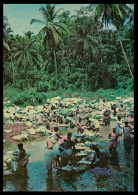 SÃO TOMÉ E PRÍNCIPE- LAVADEIRAS - Lavadeiras No Agua Grande. ( Ed. Agencia Geral Do Ultramar) Carte Postale - Sao Tome And Principe