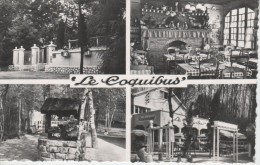 MILLY-LA-FORET : Le Coquibus, Auberge En Forêt - Milly La Foret