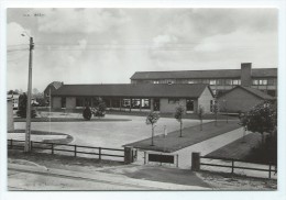 Carte Postale - ZONHOVEN - Rijkslagere En Middelbare Scholen - CPA  // - Zonhoven