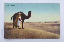 Old Postcard Sahara - Desert And Man With Camel - Sahara Occidental