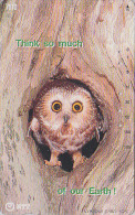 Télécarte Japon 7/11 - 7610 & NTT 231-079 - ANIMAL  Oiseau HIBOU CHOUETTE HULOTTE - OWL Bird Japan Phonecard - EULE 3581 - Hiboux & Chouettes
