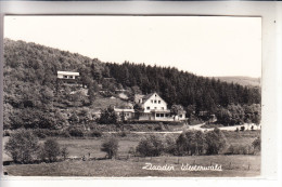 5244 DAADEN, Ausflugslokal 196... - Betzdorf