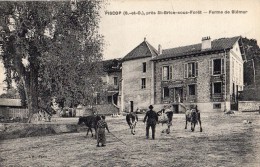 PISCOP PRES SAINT-BRICE-SOUS-FORET FERME DE BLEMUR ANIMEE - Pontcelles