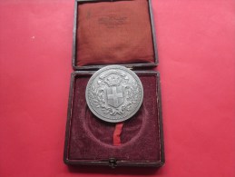 MEDAILLE De Table En Bronze + écrin Armoirie Ville De Toulon Revers > Cariatides De Puget Ornant Façade  Musée - France