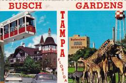 013Q/  Busch Gardens Tampa 1978 - Tampa