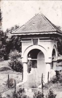 CRAIOVA:FOUNTAIN  "IANCU JIANU",POSTCARD FOR COLLECTION,ROMANI - Monumente