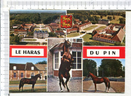 EXMES  -  LE HARAS  DU  PIN   -   5 Vues :  Vues Générales  -  Chevaux - Exmes