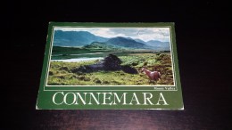 C-20885 CARTOLINA MAAM VALLEY - CONNEMARA - CAVALLO - Galway