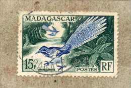 MADAGASCAR : Oiseaux : Brachyptérolle à Longue Queue  (Uratelornis Chimaera) - Famille Des Brachypteraciidae - Used Stamps
