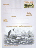 8529- ILLUSTRATED WHALE HUNTING HISTORY, SPERM WHALE, CACHALOT, SHIP, POSTCARD STATIONERY, 2003, ROMANIA - Whales