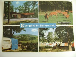 Mittelhof - Camping Im Eichenwald -   ALLEMAGNE GERMANIA  GERMANY   Deutschland  Deutsche     CIRCULE' - Betzdorf