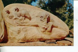 (499) Older Australian Postcard - NT - Alice Springs Pitchi Richi - Alice Springs