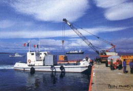 Lot De 6 Cartes - Terres Australes Et Antartiques - Photo De Fatras - Cormoran Kerguelen -Moutons - Renne - Albatros - TAAF : Terres Australes Antarctiques Françaises