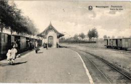 Beringen Beeringen 1 CP  Tramstatie    Tram  à Vapeur  Stoomtram - Beringen