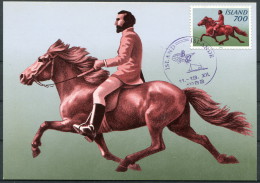 1982 Iceland Horse Maxicard - Cartes-maximum