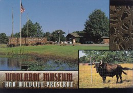 Woolaroc Museum & Wildlife Preserve Tempe Arizona - Tempe