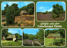 Lüneburger Heide - Mehrbildkarte 67 - Lüneburger Heide