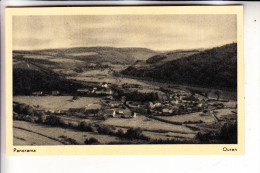 B 4790 BURG REULAND - OUREN, Panorama - Burg-Reuland