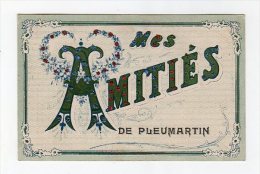 Dec14     8666983  Mes Amitiés De Pleurmartin - Pleumartin